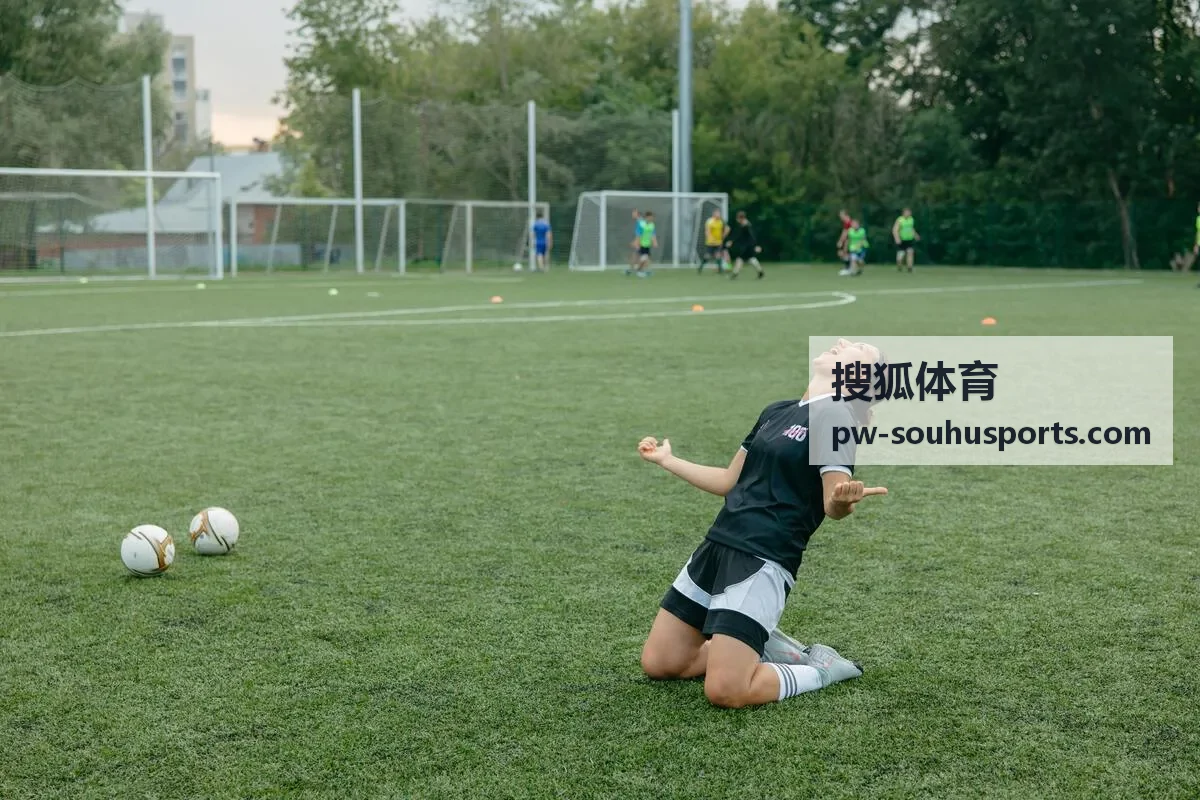 搜狐体育意甲德甲联赛排名